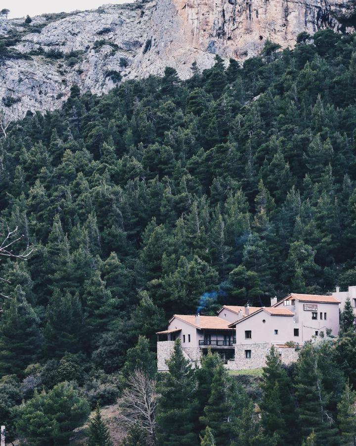 Guesthouse Vasiliki 스테니 디르피오스 외부 사진